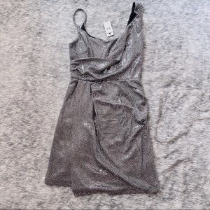 Express Sequin silver dress